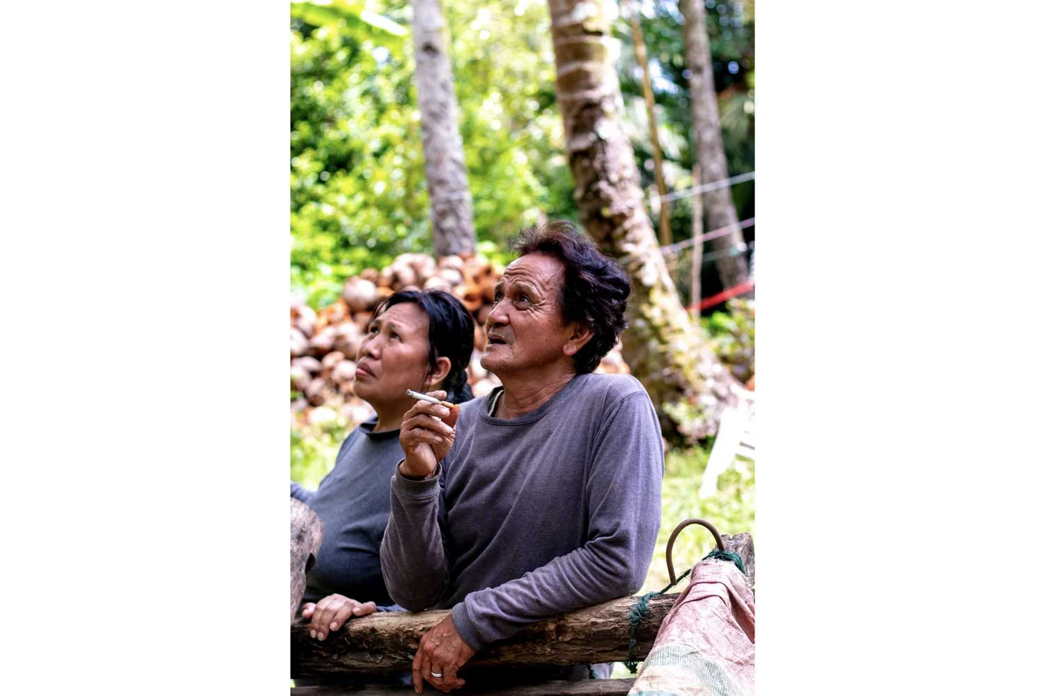 Girofle de Sulawesi – bio - Image 5