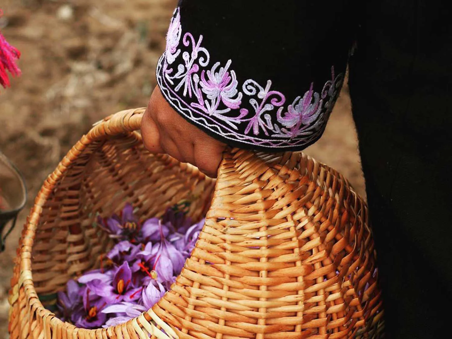 Kashmiri Kahwa - bio - Image 5